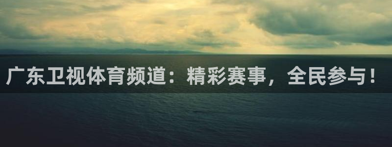 广东卫视体育频道：精彩赛事，全民参与！
