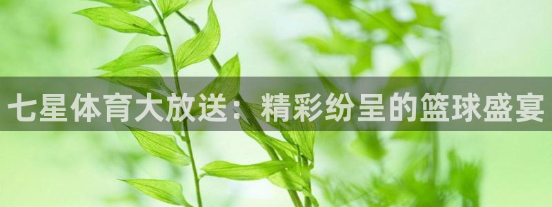 七星体育大放送：精彩纷呈的篮球盛宴