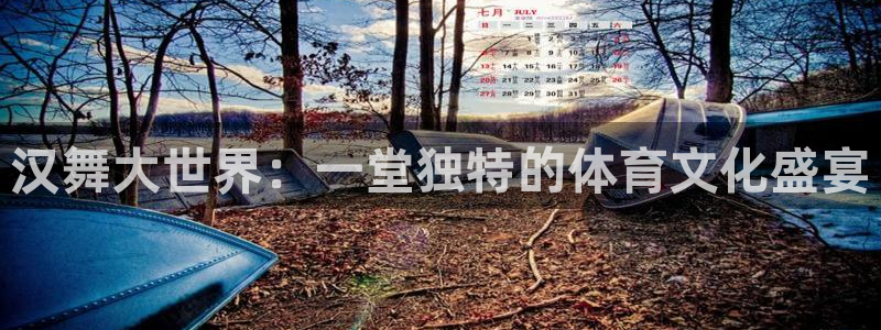 汉舞大世界：一堂独特的体育文化盛宴