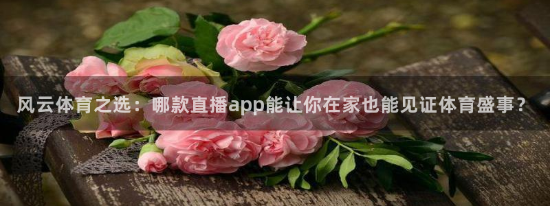 风云体育之选：哪款直播app能让你在家也能见证体育盛事？