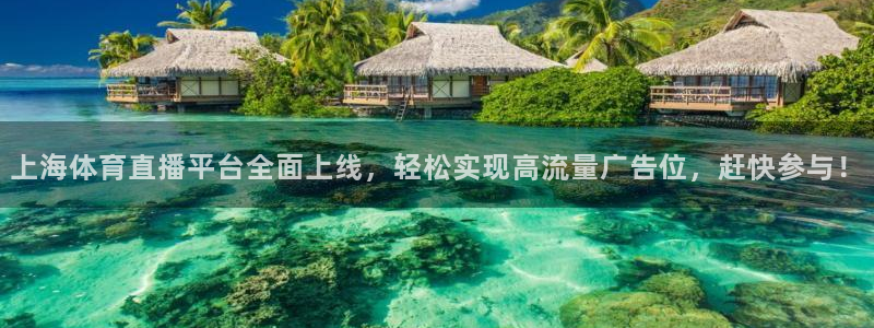 上海体育直播平台全面上线，轻松实现高流量广告位，赶快参与！