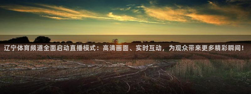 辽宁体育频道全面启动直播模式：高清画面、实时互动，为观众带来更多精彩瞬间！