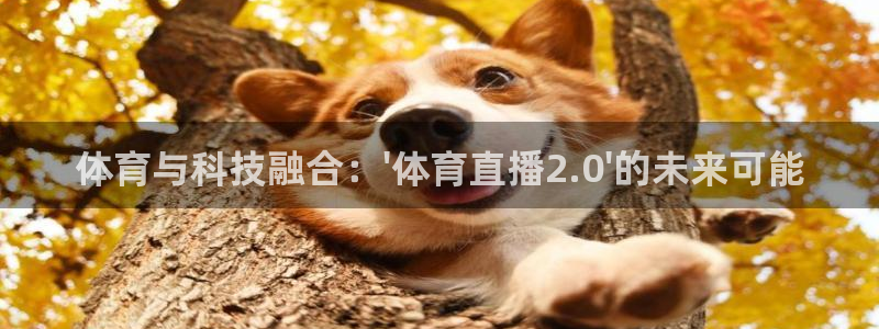 体育与科技融合：\'体育直播2.0\'的未来可能