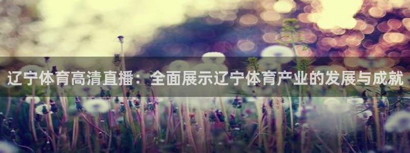 辽宁体育高清直播：全面展示辽宁体育产业的发展与成就