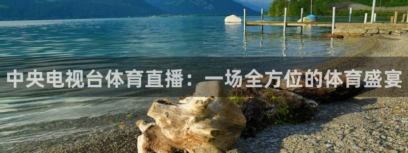 中央电视台体育直播：一场全方位的体育盛宴