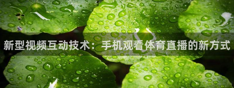 新型视频互动技术：手机观看体育直播的新方式