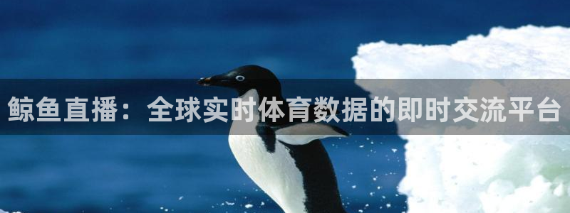 鲸鱼直播：全球实时体育数据的即时交流平台