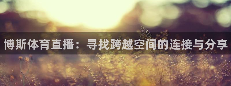 博斯体育直播：寻找跨越空间的连接与分享