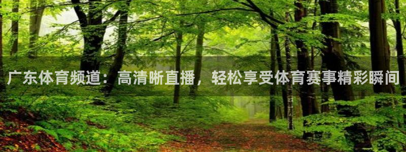 广东体育频道：高清晰直播，轻松享受体育赛事精彩瞬间