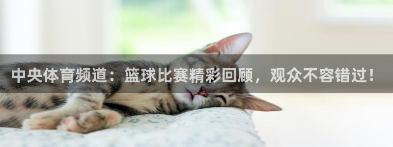 中央体育频道：篮球比赛精彩回顾，观众不容错过！