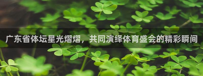 广东省体坛星光熠熠，共同演绎体育盛会的精彩瞬间
