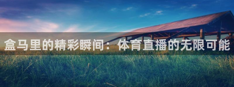 盒马里的精彩瞬间：体育直播的无限可能